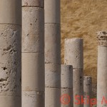 _SM18537